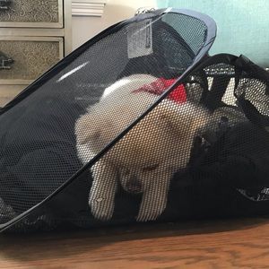 Meet your Posher, Cheryl